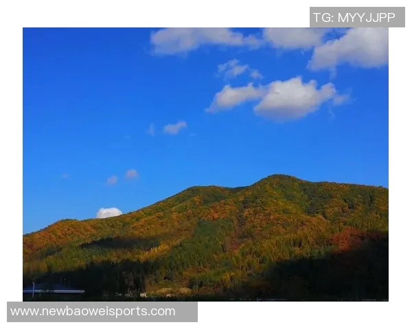 艾弗森回忆童年穿着风格独特自学成才的成长经历分享